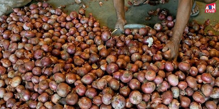 Onion Price: कीमतों को बढ़ने से रोकने के लिए सरकार ने कसी कमर, बफर स्टॉक के लिए पांच लाख टन प्याज खरीदना शुरू