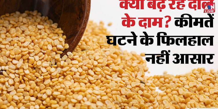 Pulses Price: आम आदमी की दाल में लगा महंगाई का तड़का, क्यों हो रही महंगी? अगले पांच माह तक कम नहीं होंगे दाम!