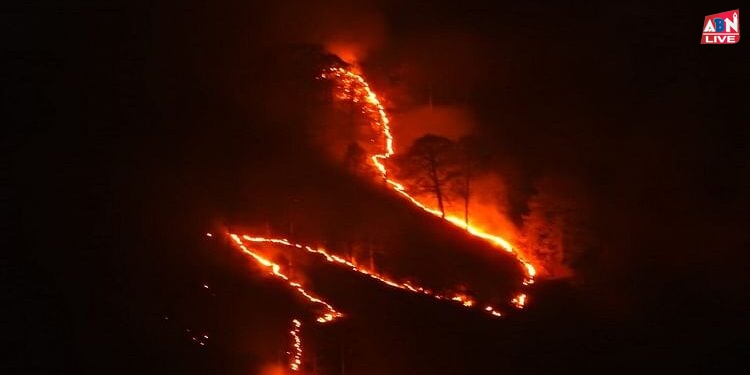 Uttarakhand Forest Fire: गढ़वाल में 23 जगह धधके जंगल, आरोप में तीन के खिलाफ मुकदमा दर्ज