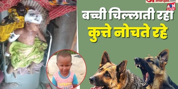 बच्ची पर खूंखारों का हमला: आठ से 10 कुत्तों ने ले ली मासूम की जान, पिता बोले- बेटी ने एक बार मांगी फ्रूटी और..