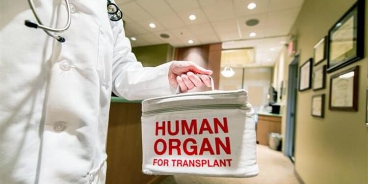 Organ Transplant: 2023 में भारत में बीते एक दशक से तीन गुना अधिक अंग प्रत्यारोपण, NOTTO की रिपोर्ट में खुलासा