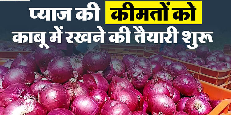 Onion Prices: प्याज की बढ़ती कीमतों को काबू में रखने के लिए सरकार ने उठाया कदम, बफर स्टॉक से बढ़ाई गई बिक्री