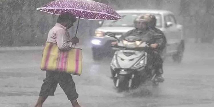 UP Weather Update : भारी बारिश से गिरे सैकड़ों कच्चे-पक्के मकान, 11 जिले बाढ़ की चपेट में; 16 की मौत