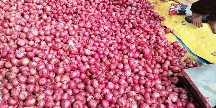 Onion Prices: दिल्ली-मुंबई में प्याज के दामों में जबरदस्त उछाल, जानें कितने महंगे हुए