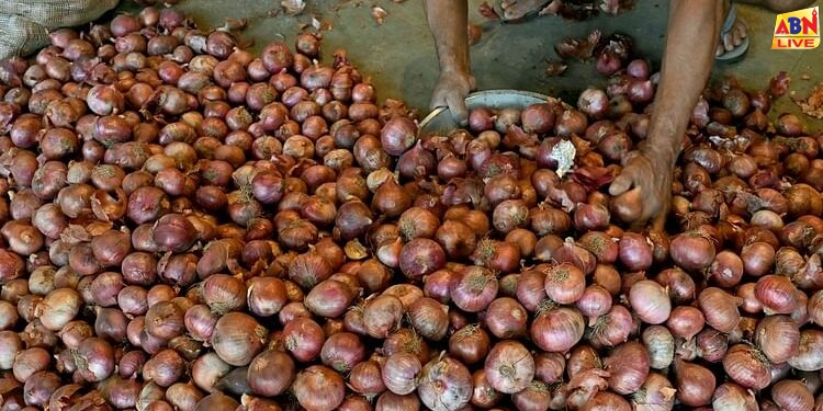 Onion Prices: नई खरीफ फसल आने पर प्याज की कीमतों में और गिरावट आने की संभावना, सरकारी अधिकारी ने कही यह बात