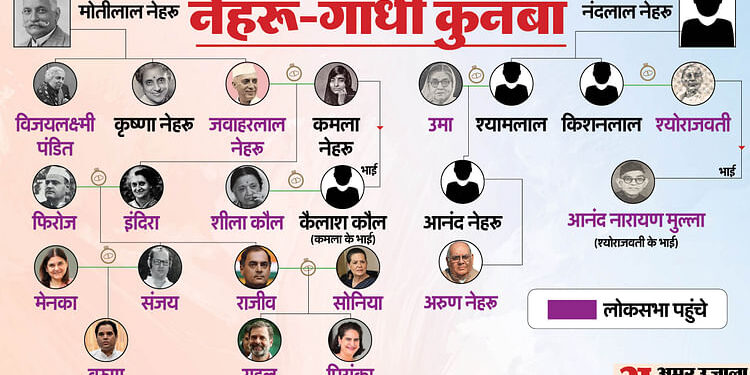 Priyanka Gandhi: लोकसभा में नेहरू-गांधी परिवार की 16वीं सदस्य बनीं प्रियंका, दोहराया गया 71 साल पुराना इतिहास