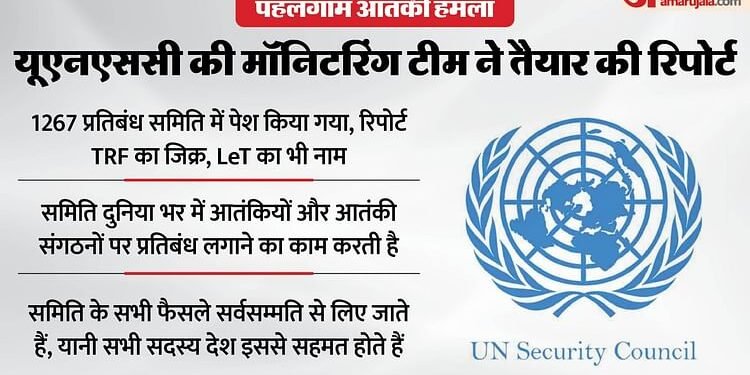 Pahalgam Attack: आतंक के खिलाफ भारत की जंग होगी मजबूत; UNSC की रिपोर्ट में TRF के जिक्र से बैकफुट पर पाकिस्तान