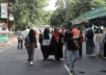 Bird Flu Alert: दिल्ली में बर्ड फ्लू की दस्तक... नोएडा-ग्रेटर नोएडा में प्रशासन अलर्ट; 226 सैंपल भेजे लैब