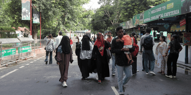 Bird Flu Alert: दिल्ली में बर्ड फ्लू की दस्तक... नोएडा-ग्रेटर नोएडा में प्रशासन अलर्ट; 226 सैंपल भेजे लैब