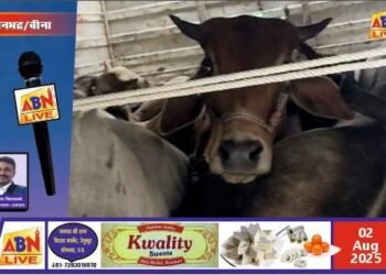 पुलिस ने पिकप से सात गोवंश किया बरामद, तस्कर फरार