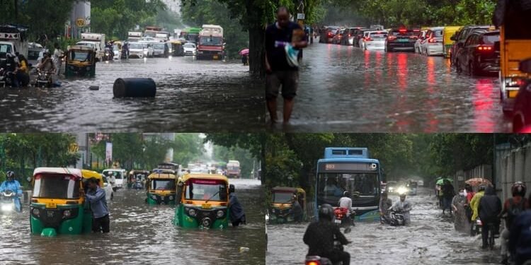 Delhi NCR Rain: मूसलाधार बारिश का कहर, कालकाजी में पेड़ गिरने से हादसा, एक की मौत; जगह-जगह जलभराव- ट्रैफिक जाम