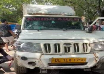 Delhi: सुप्रीम कोर्ट के आदेश के खिलाफ सड़कों पर उतरे लोग, लावारिस कुत्ते पकड़ने का विरोध; वाहनों में तोड़फोड़