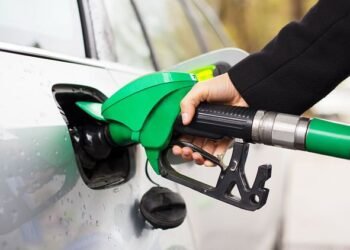 E20 Fuel: पेट्रोलियम मंत्रालय का बयान- इथेनॉल-मिश्रित पेट्रोल को लेकर फैलाया जा रहा डर बेबुनियाद