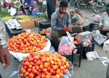 Retail Inflation: खुदरा महंगाई 2017 के बाद सबसे कम, जुलाई में  सीपीआई मुद्रास्फीति दर खिसककर 1.55% पर पहुंची