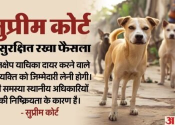 SC: आवारा कुत्तों से जुड़े मामले पर फैसला सुरक्षित; SG बोले- मुद्दा सुलझाने की जरूरत, सिब्बल ने कहा- बहस जरूरी