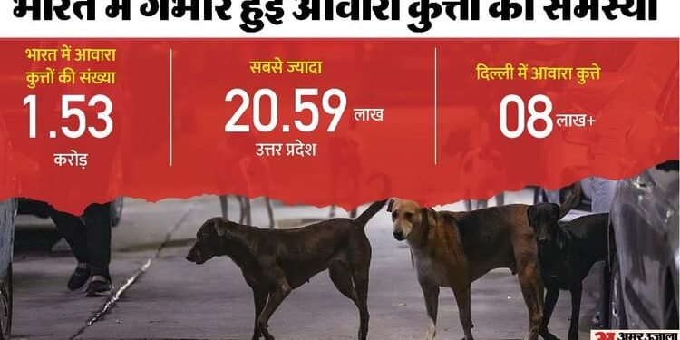 Stray Dog: भारत में आवारा कुत्तों के काटने और रेबीज से जुड़े आंकड़े; चीन से पश्चिमी देशों तक, कहां-क्या नियम?