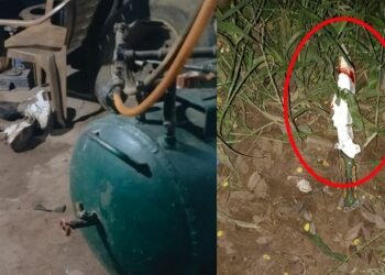 धमतरी में ट्रिपल मर्डर: दौड़ा-दौड़ाकर दो भाई समेत तीन युवकों का कत्ल, अन्नपूर्णा ढाबा के पास सनसनीखेज वारदात