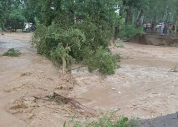 पंजाब में बारिश का कहर: पठानकोट में सभी स्कूल-कालेज बंद, फिरोजपुर में घरों और खेतों में घुसा दरिया का पानी