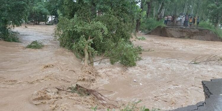 पंजाब में बारिश का कहर: पठानकोट में सभी स्कूल-कालेज बंद, फिरोजपुर में घरों और खेतों में घुसा दरिया का पानी