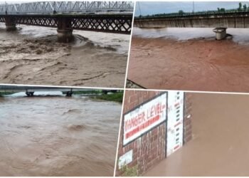 Haryana: 4 नदियों से 11 जिलों में बाढ़ जैसे हालात, उफनाई यमुना सड़कों-गांवों तक आई; 36 घंटे भारी बारिश के आसार