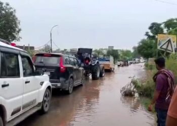 Punjab Flood: साहूवाल में बाढ़... चार-चार फीट भरा पानी, जलभराव में रहने को मजबूर लोग; ग्रांउड रिपोर्ट