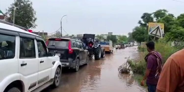 Punjab Flood: साहूवाल में बाढ़... चार-चार फीट भरा पानी, जलभराव में रहने को मजबूर लोग; ग्रांउड रिपोर्ट