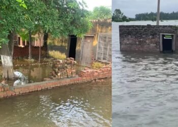 Punjab Floods: लोगों की आंखों में उमड़ा दर्द का समंदर... फसल बचने की आस टूटी, हर तरफ बर्बादी; ग्राउंड रिपोर्ट