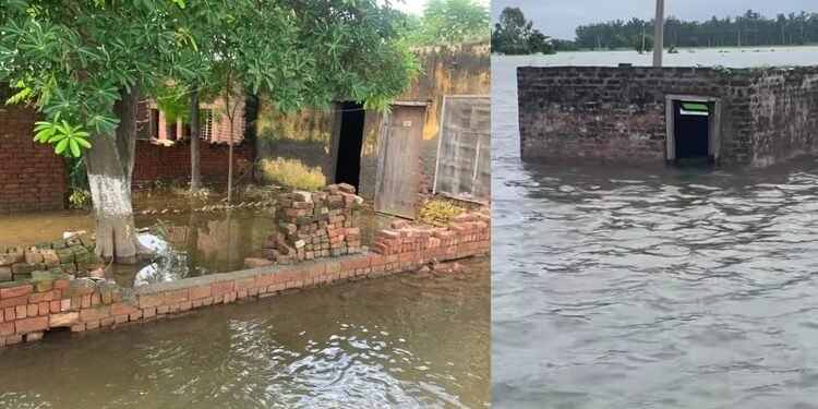 Punjab Floods: लोगों की आंखों में उमड़ा दर्द का समंदर... फसल बचने की आस टूटी, हर तरफ बर्बादी; ग्राउंड रिपोर्ट