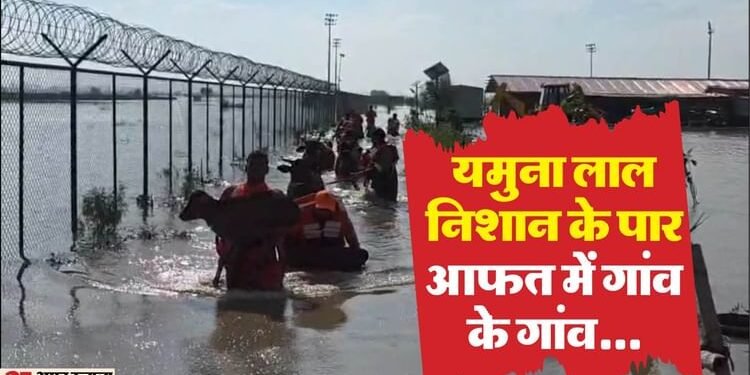 बारिश.. बाढ़.. बर्बादी: यमुना-हिंडन का जलस्तर बढ़ा, 43 गांव प्रभावित, 25 में फसल नष्ट; 3800 लोगों को बचाया गया