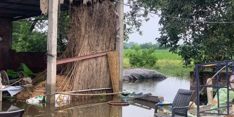 सीमांत गांव कोटली खेहरा की कहानी: रावी के उफान ने सब कुछ छीना, घर-खेत डूबे; अब गाद और गंदगी का डर