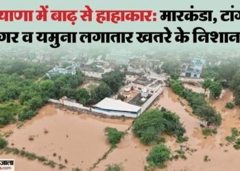 हरियाणा में बाढ़ का कहर: हाईवे पर नदियां... वाहनों पर ब्रेक, बारिश ने पांच और जानें लीं; छह तक स्कूल बंद