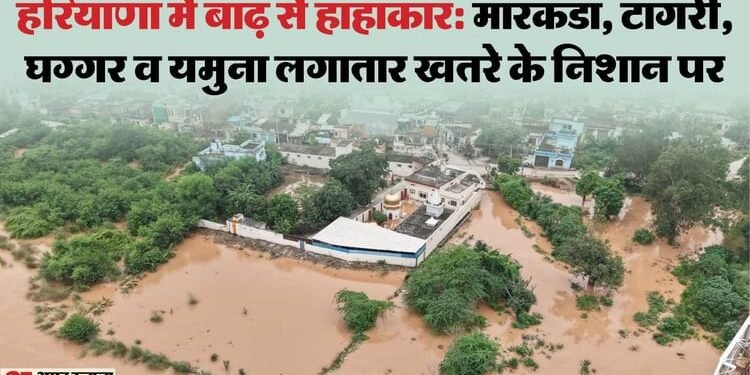 हरियाणा में बाढ़ का कहर: हाईवे पर नदियां... वाहनों पर ब्रेक, बारिश ने पांच और जानें लीं; छह तक स्कूल बंद