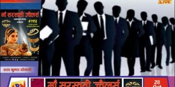 30 अक्टूबर को सोनभद्र में लगेगा रोजगार मेला, 14 निजी कंपनियां करेंगी भर्ती