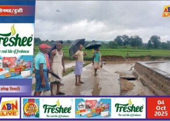 मालिया नदी के तेज बहाव से टूटा संपर्क मार्ग, किसानों की धान फसल बहकर हुई बर्बाद