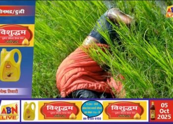 धान के खेत में मिली विवाहिता का शव, गांव में फैली सनसनी