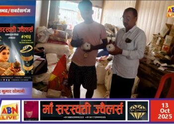 दीपावली पर्व पर मिलावटी खाद्य पदार्थों पर खाद्य सुरक्षा विभाग की सख्त कार्रवाई