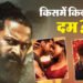‘थामा’ ने मारी 100 करोड़ की छलांग, ‘कांतारा चैप्टर 1’ अब भी छाई; जानें 'एक दीवाने की दीवानीयत' का भी हाल