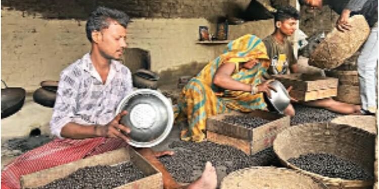 Bihar Election: रोजगार, घुसपैठ, सांस्कृतिक पहचान और पलायन, सीमांचल का वोटर 'सुरक्षा' और 'अस्मिता' के बीच फंसा