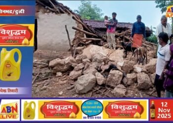 बारिश से कच्चा मकान ढहा, मलबे में दबकर एक बकरी की मौत, व्यक्ति घायल, परिवार हुआ बेघर