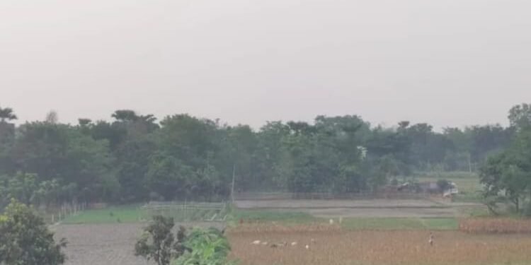 Bihar Weather: पटना समेत कई जिलों में लगातार बढ़ रही है ठंड, पारा गिरकर आठ डिग्री पहुंचा; जानिए मौसम का हाल