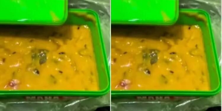 Gurugram: मिड डे मील की कढ़ी में मिला चूहा, वक्त रहते 460 स्कूलों में भोजन वितरण पर रोक; मामले की जांच शुरू