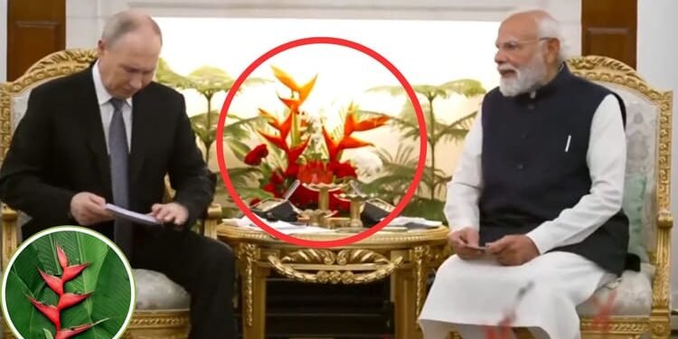 Heliconia: पीएम मोदी और पुतिन के मीटिंग में दिखा ये खास बैकग्राउंड, क्या आपने नोटिस किया ये लाल रंग का पौधा