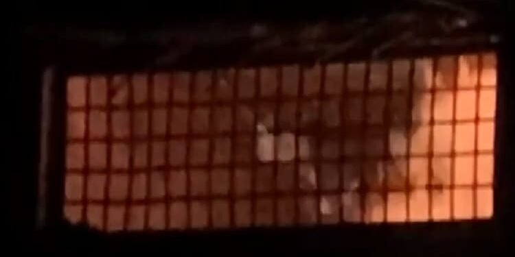 UP: हापुड़ में सब्जी मंडी के पास दुकानों में लगी आग, तीन दुकानें जलीं, दमकलकर्मियों ने पाया काबू