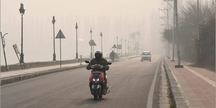 मौसम: देश के अधिकतर हिस्सों में शीतलहर, पहाड़ों पर बर्फ...मैदानों में कोहरा; रात में गलन और NCR में गिरा पारा