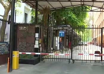Delhi Security Scare: नीति आयोग जा रहा शख्स सुरक्षाबलों से भिड़ा, PMO में चालक होने का दावा; चौकसी बढ़ाई गई