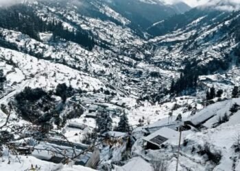 Snowfall: बर्फ की चादर से ढका चमोली, 77 से अधिक गांव प्रभावित; ज्योतिर्मठ–मलारी हाईवे समेत सात सड़कें बंद