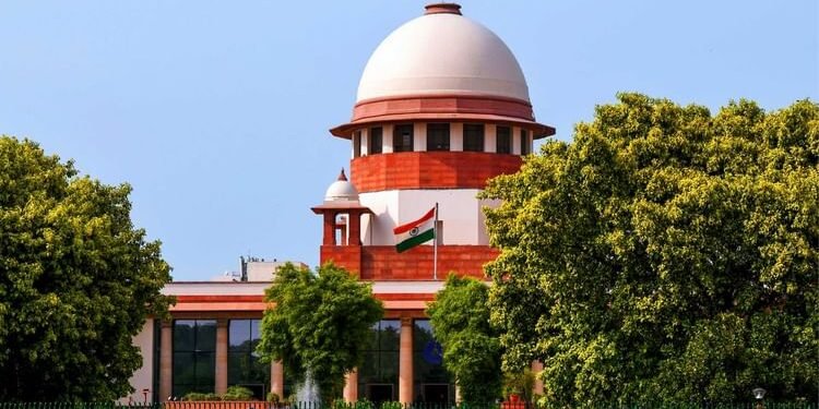 Supreme Court: 'कल कोई सोसाइटी में भैंस ले आया, तो क्या करेंगे', आवारा कुत्तों के मामले पर अदालत की टिप्पणी