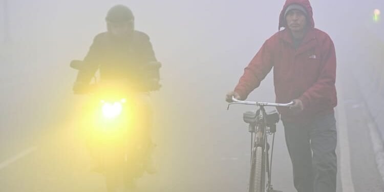 Weather Alert: चरम पर सर्दी का सितम! पहाड़ों में जल स्रोत जमे, कोहरा तो कहीं बारिश का अलर्ट; यातायात पर भी असर