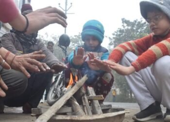 Weather: उत्तर भारत में घने कोहरे से परिवहन सेवाएं प्रभावित, कई राज्यों में शीतलहर; 50 से अधिक ट्रेनें लेट