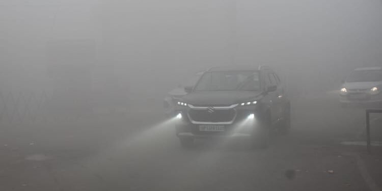Weather: उत्तर भारत में ठंड और कोहरे का कहर; दृश्यता कम होने से नूंह में पांच वाहन भिड़े, दो लोग जिंदा जले